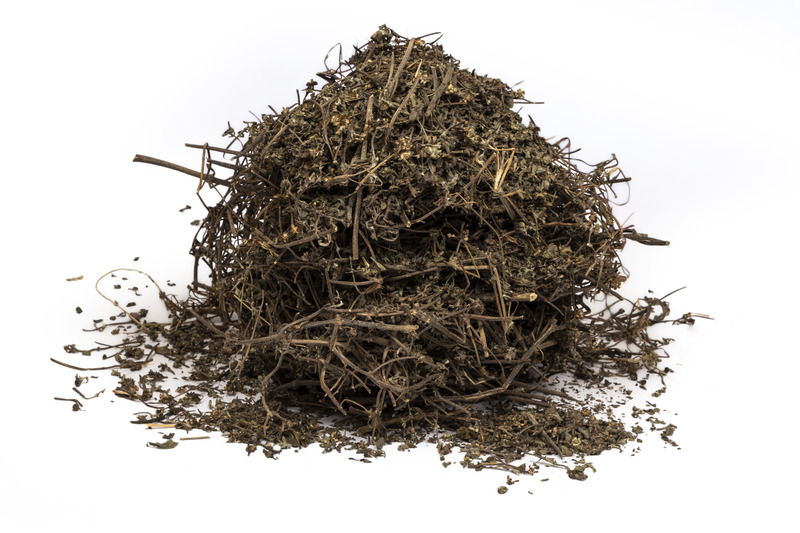 Eclipta Prostrata (Bhringraj)
