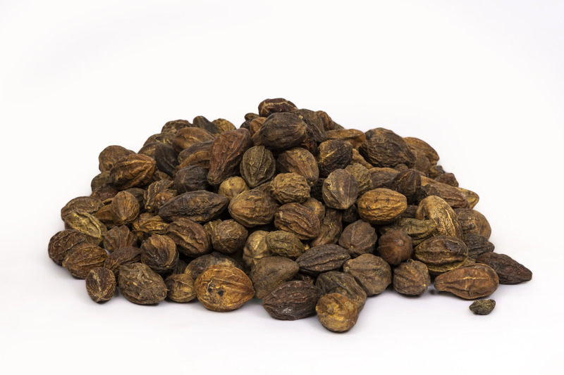 Terminalia Chebula (Jeevnat Harad)