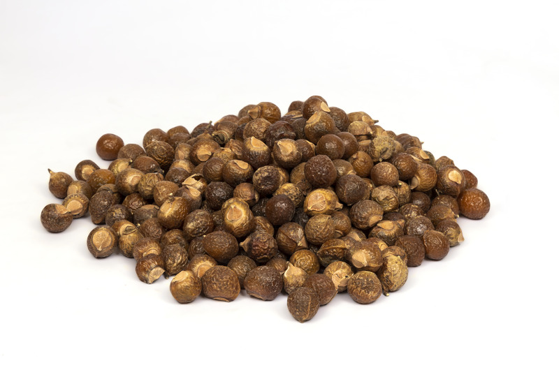 Sapindus (Aritha (Shop Nuts))