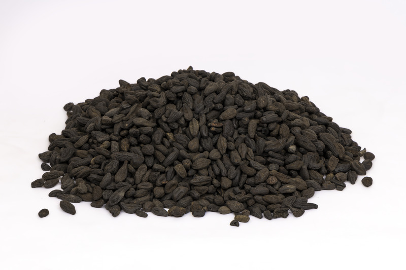 Terminalia Chebula (baal harad)