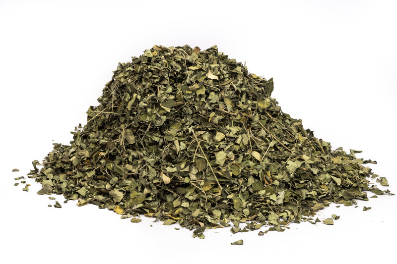 Murraya Koenigii (Currry Leaves)