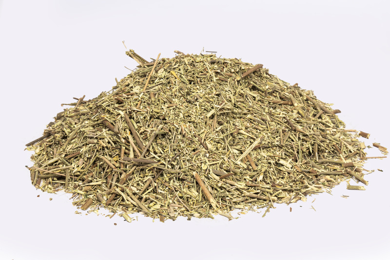 Moringa oleifera (moringa stick)
