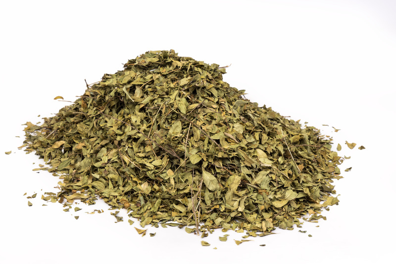 Azadirachta Indica (Neem Leaves)