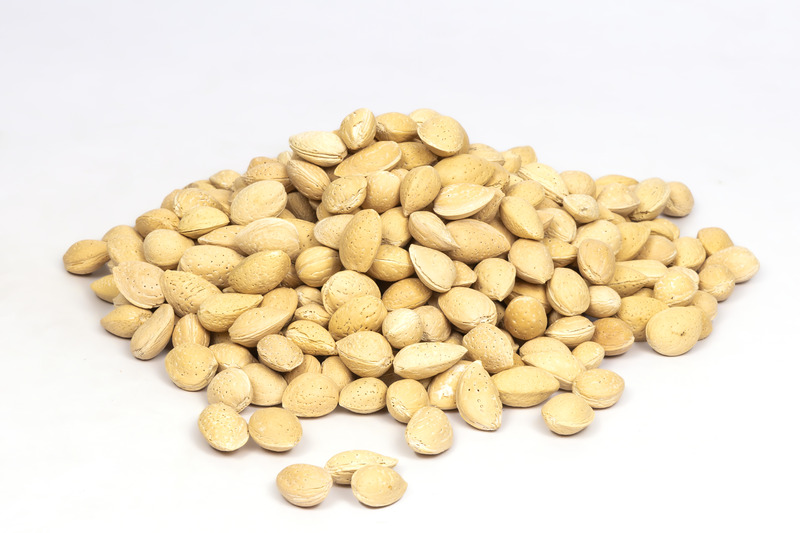 Prunus dulcis (Pooja Almond)