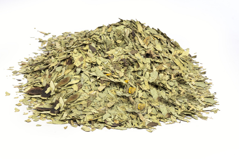 Cassia senna L.; Cassia angustifolia Vahl (seena leaves)